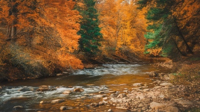 triple creek park